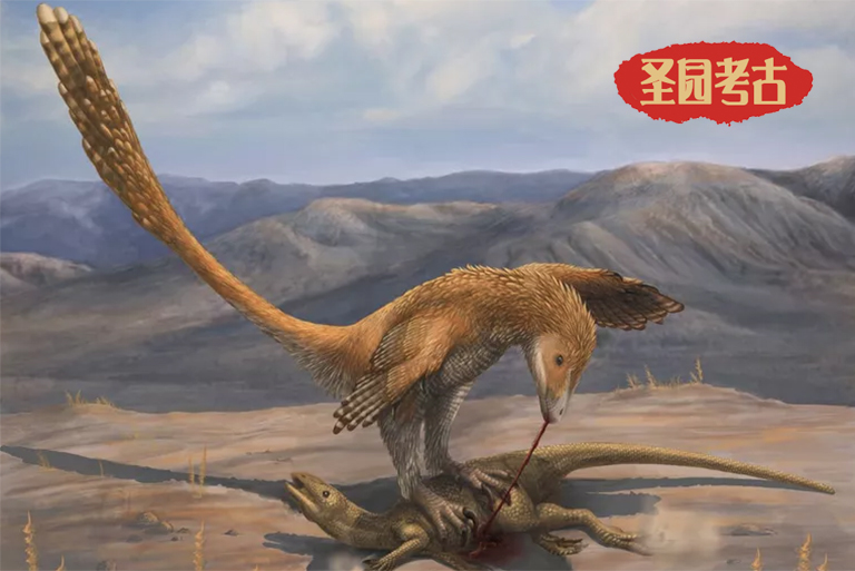 跟著恐龍考古模型廠家來認(rèn)識侏羅紀(jì)世界真正明星恐龍-恐爪龍