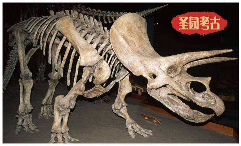 恐龍是食人族嗎？