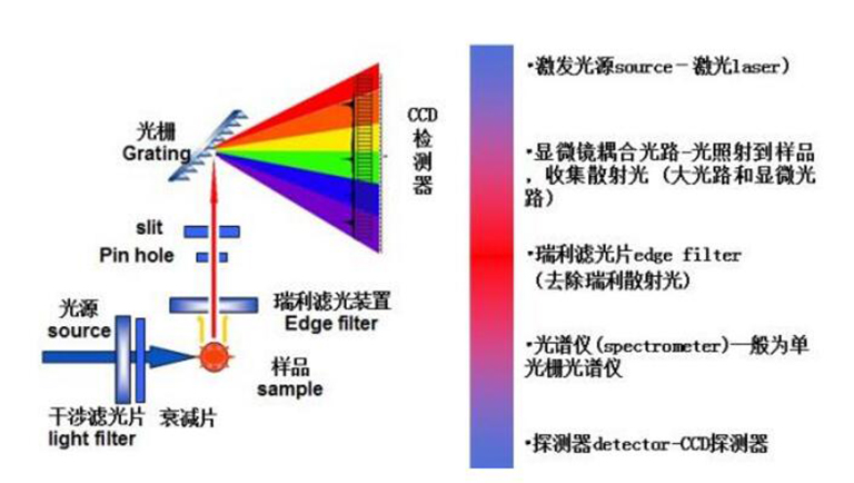 兒童淘礦工場小常識