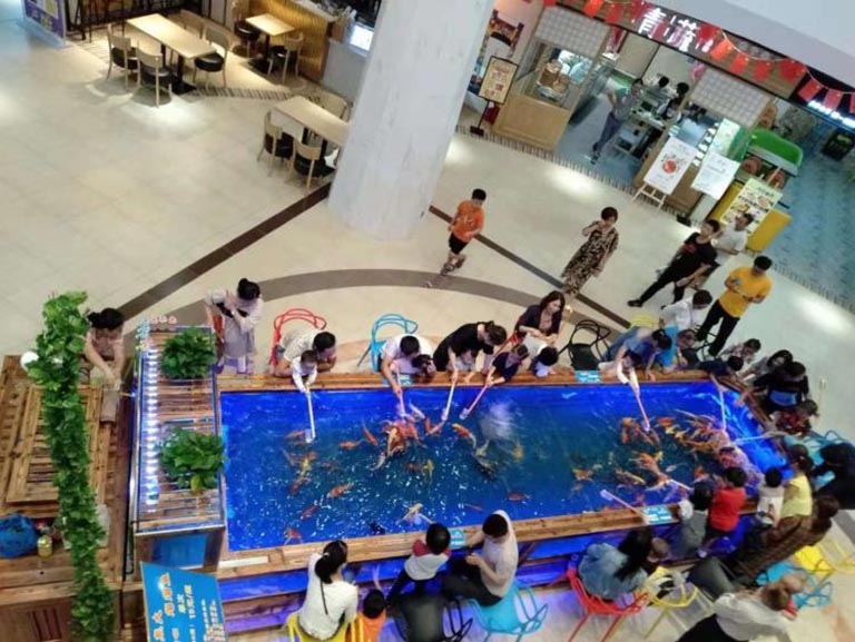 喂奶魚