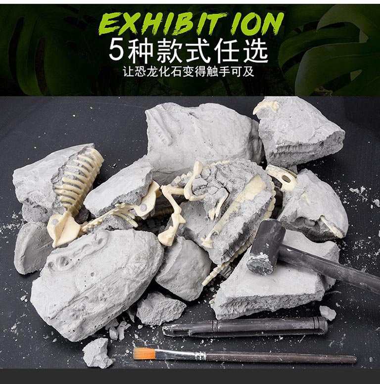 恐龍考古桌