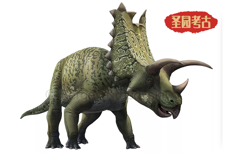 恐龍考古模型