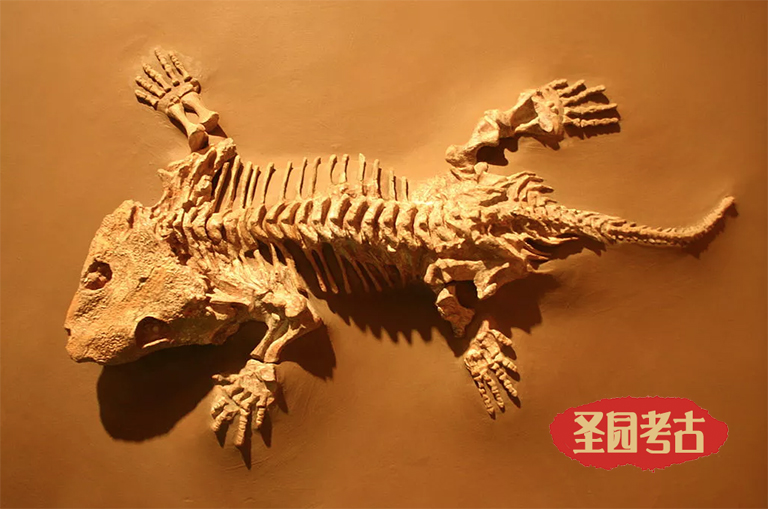 恐龍考古桌