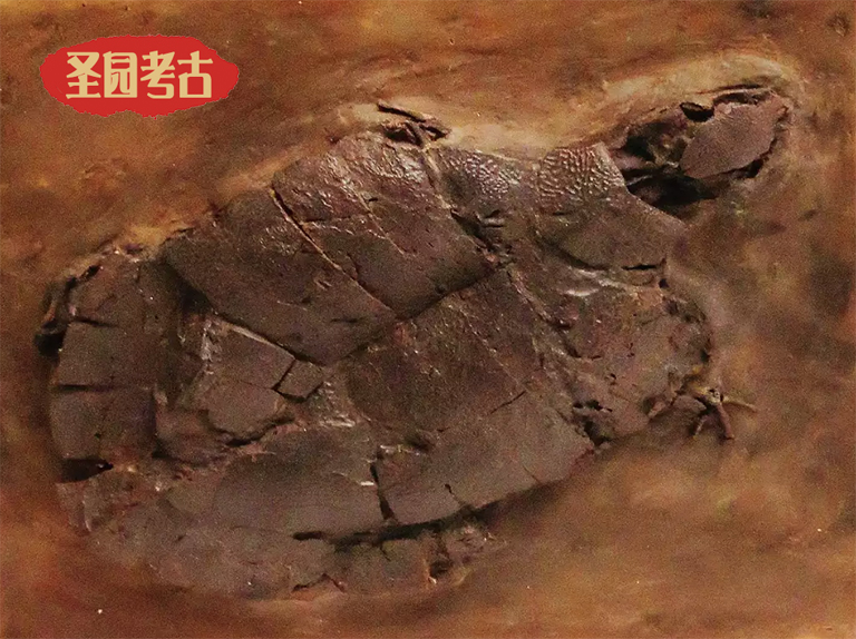 雕塑知識(shí)