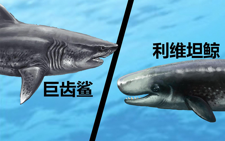 恐龍考古科普
