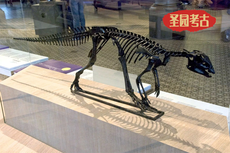 雕塑知識